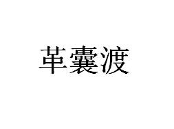 革囊渡
