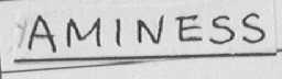 AMINESS