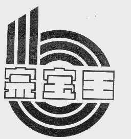 宗宝王