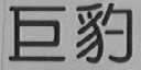 巨豹