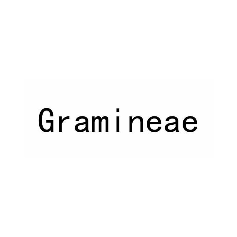 GRAMINEAE
