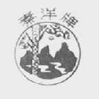 秦洋