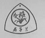 君子兰