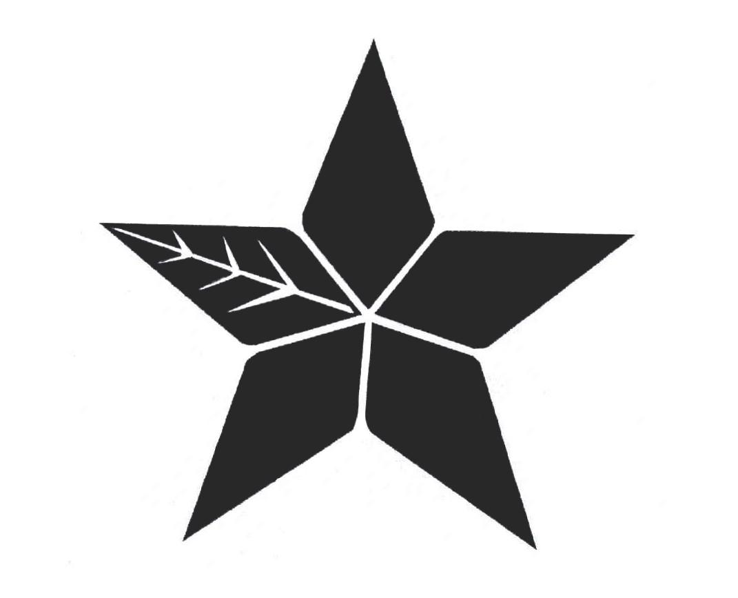 图形