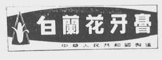 白兰花