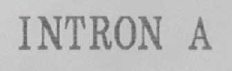 INTRON A