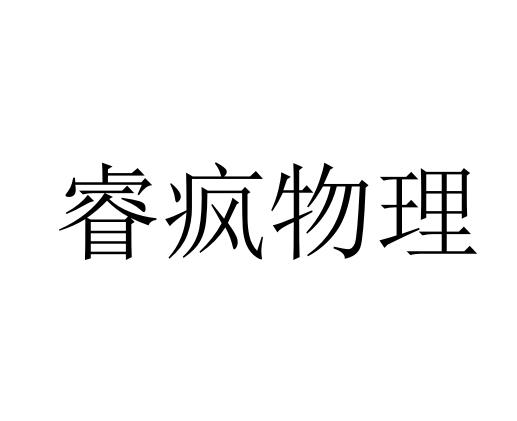 睿疯物理