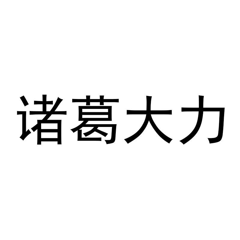诸葛大力