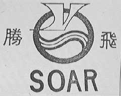 腾飞