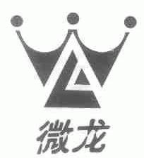 微龙