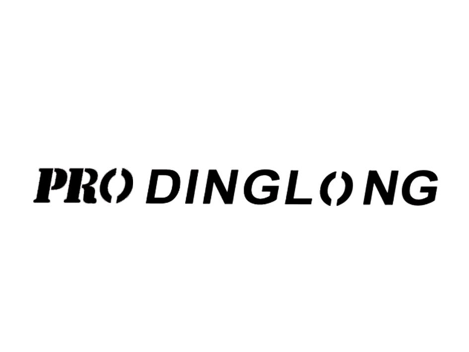 PRO DINGLONG