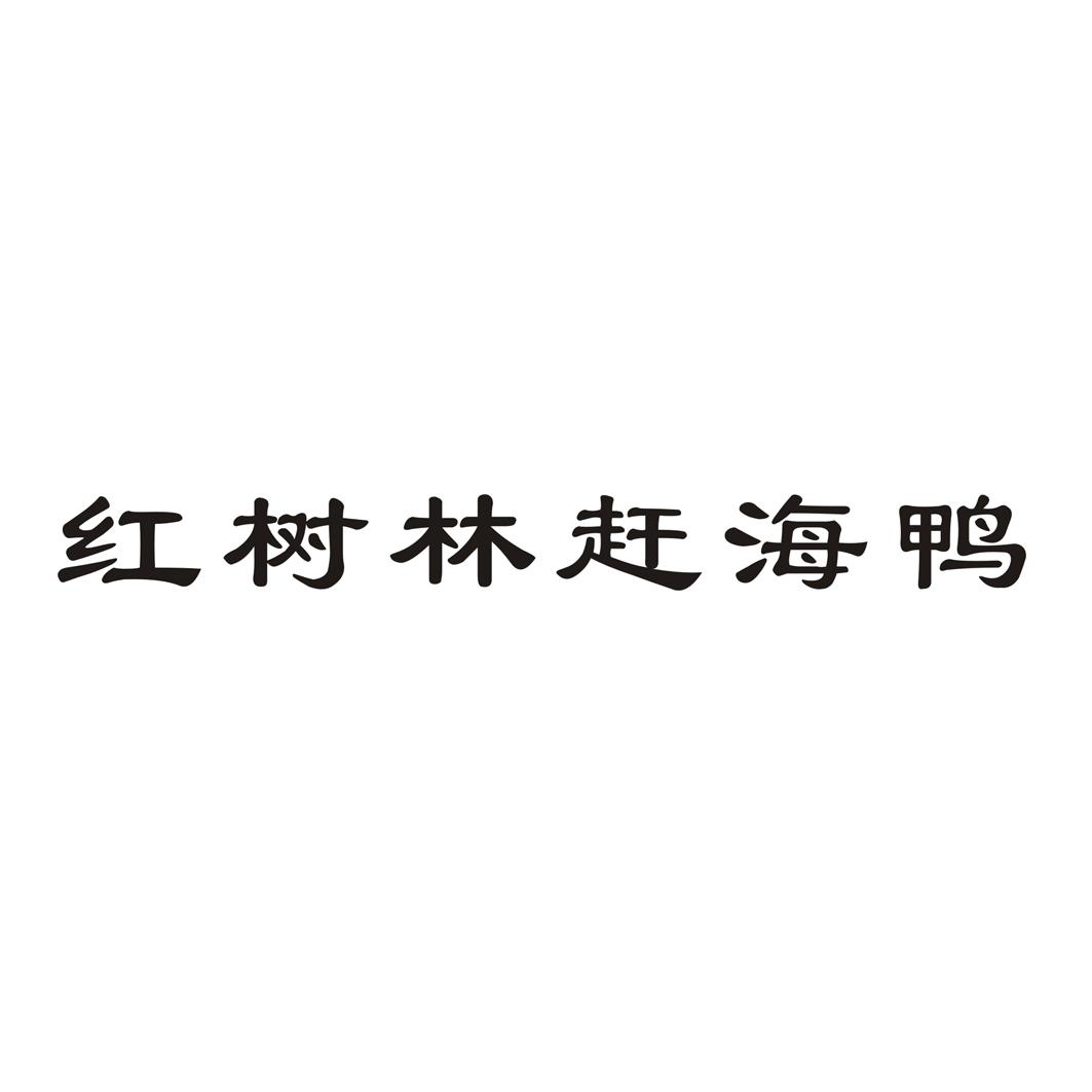 红树林赶海鸭