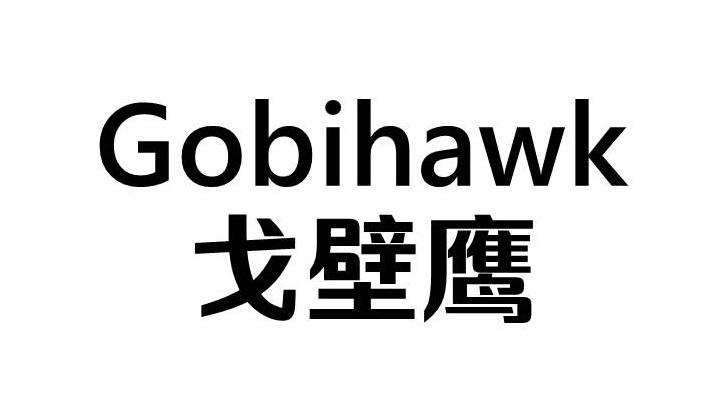 戈壁鹰 GOBIHAWK
