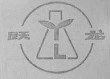 跃龙
