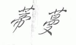 蒂蔓