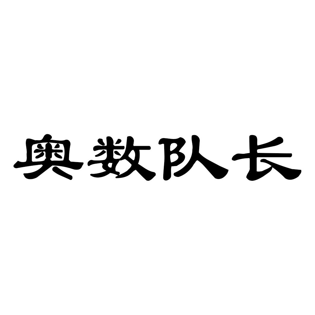 奥数队长