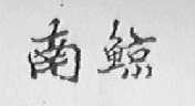 南鲸