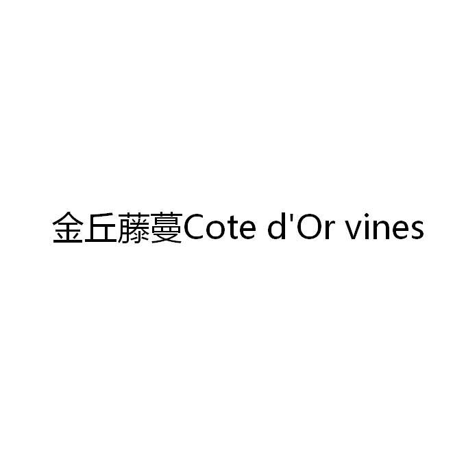 金丘藤蔓 COTE D’OR VINES