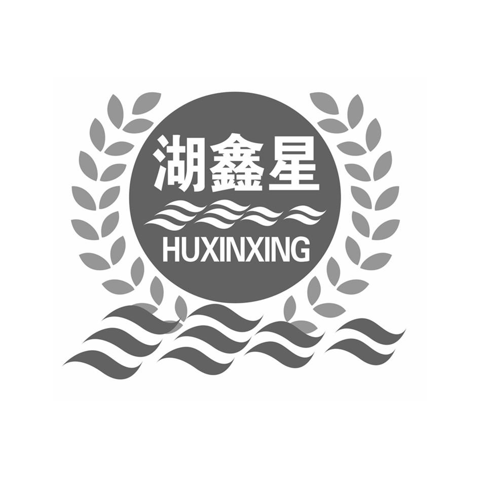 湖鑫星