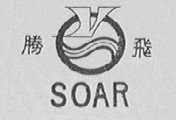 腾飞