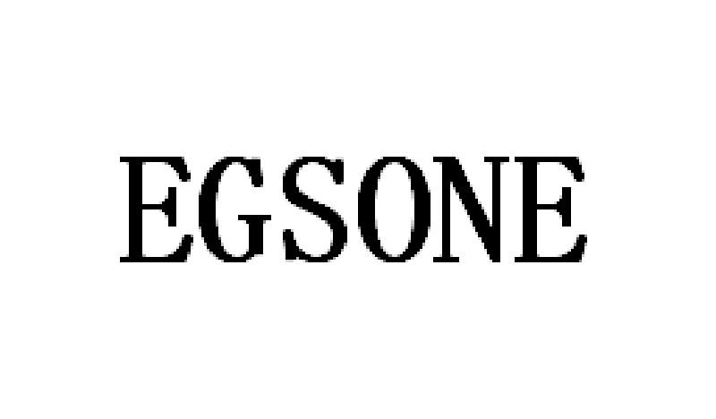EGSONE