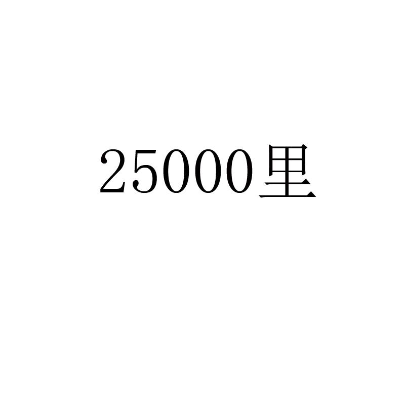25000 里