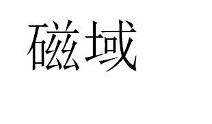 磁域