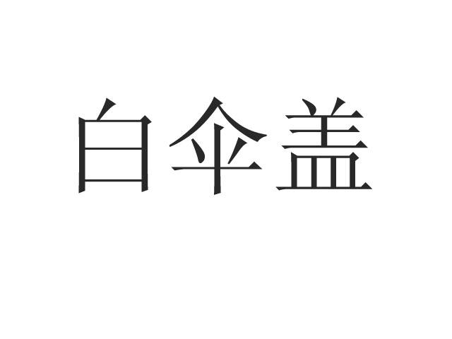 白伞盖