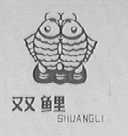 双鲤