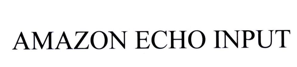 AMAZON ECHO INPUT