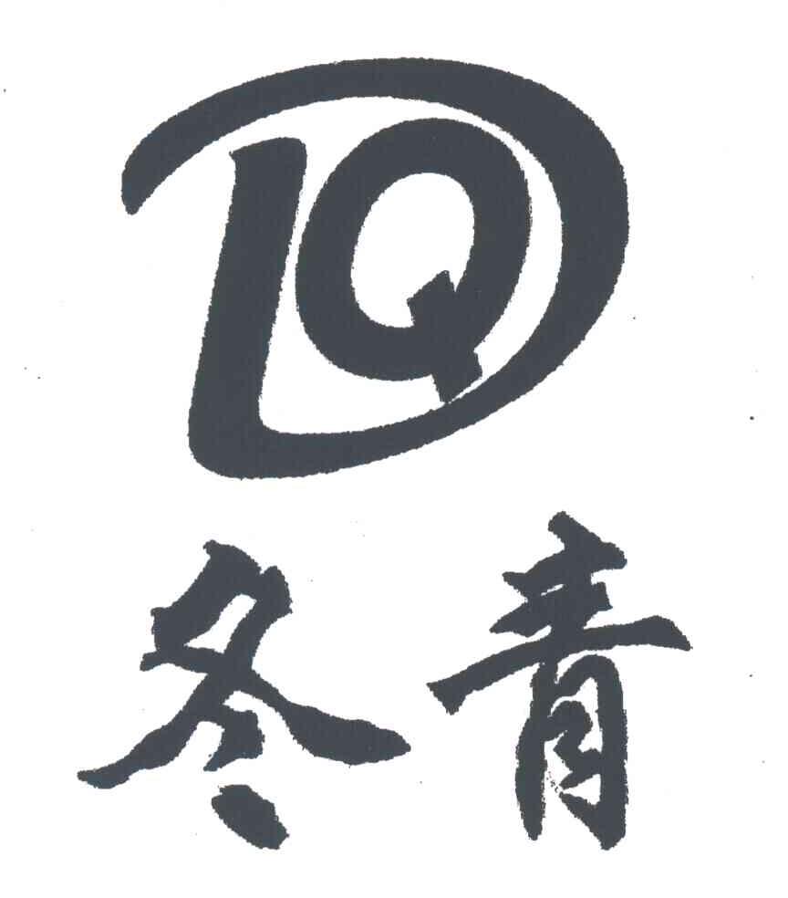 冬青