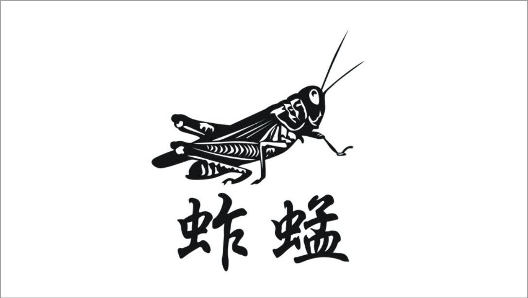 蚱蜢