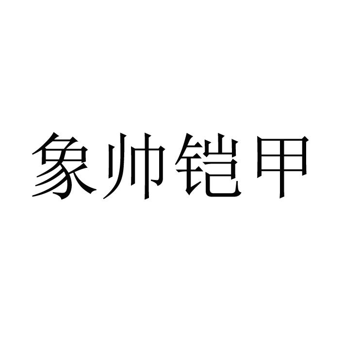 象帅铠甲
