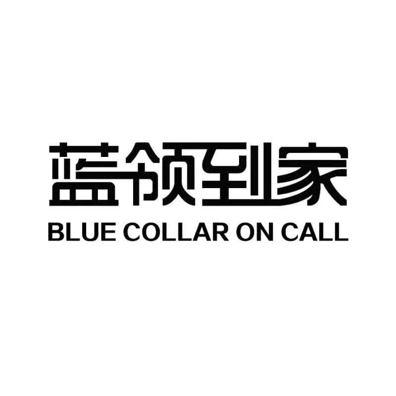 蓝领到家  BLUE COLLAR ON CALL