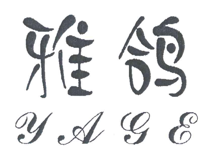 雅鸽