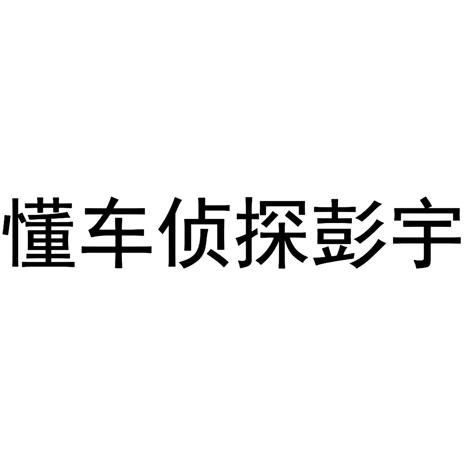 懂车侦探彭宇