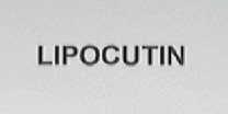 LIPOCUTIN