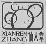 仙人掌