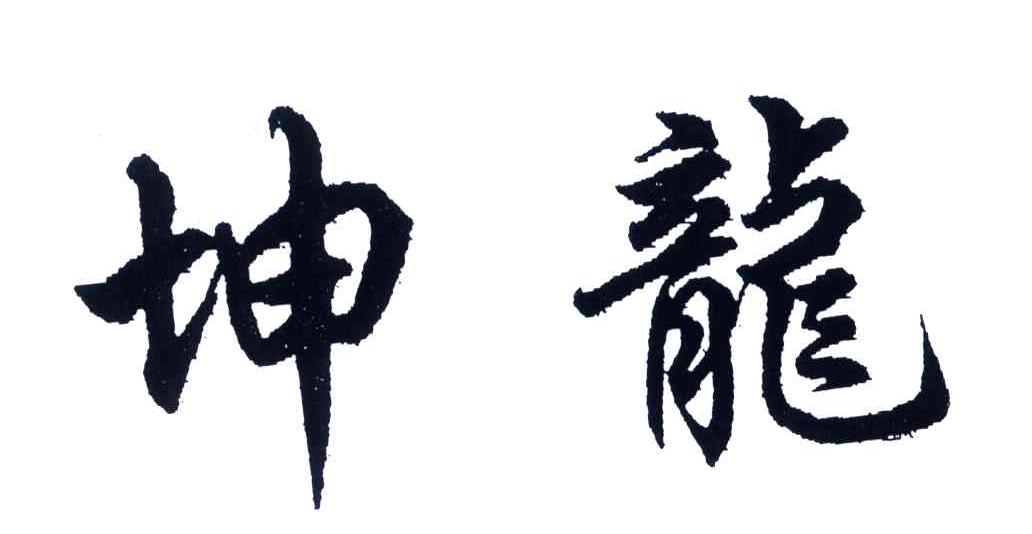 坤龙