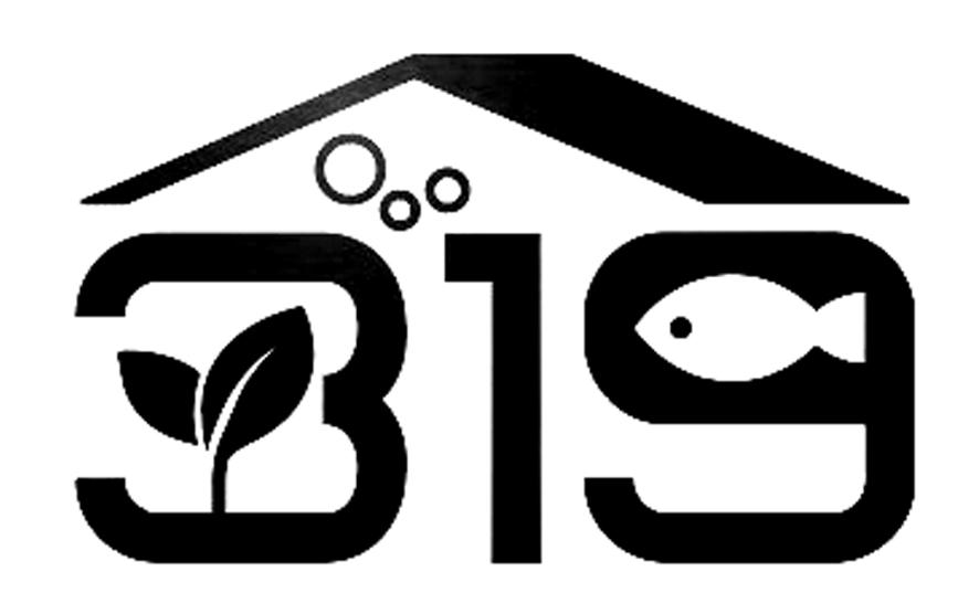 319
