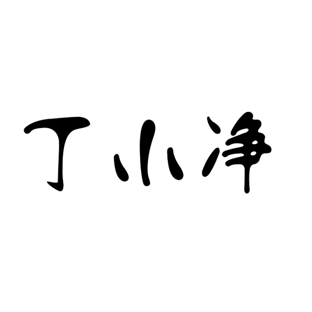 丁小净