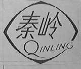 秦岭