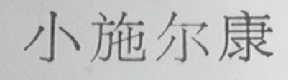 小施尔康