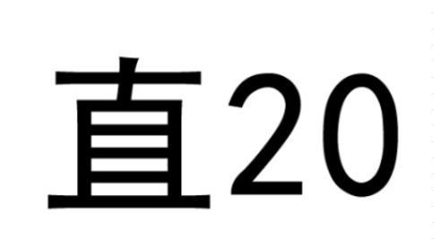 直 20