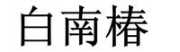 白南椿