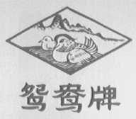 鸳鸯