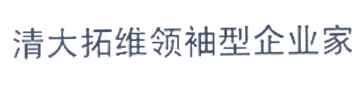 清大拓维领袖型企业家