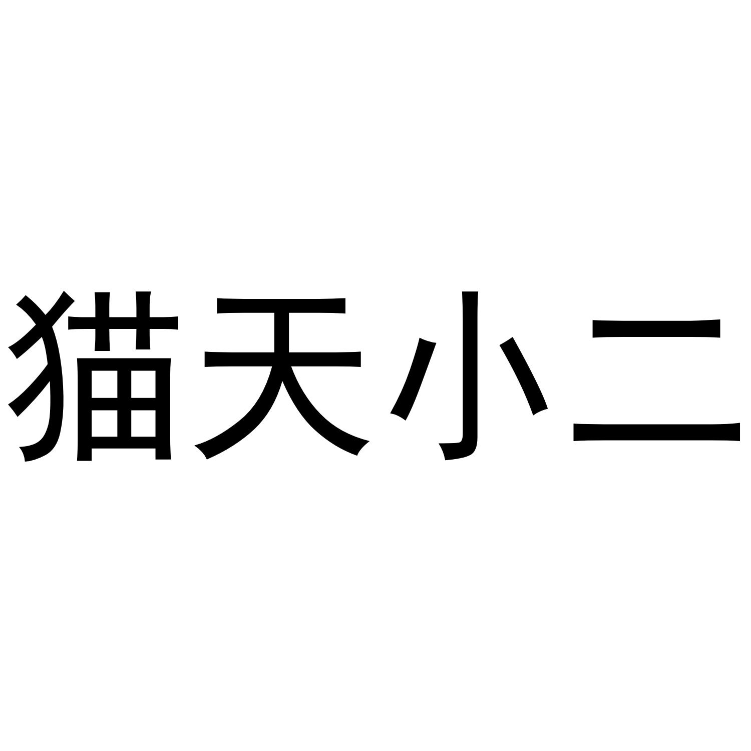猫天小二
