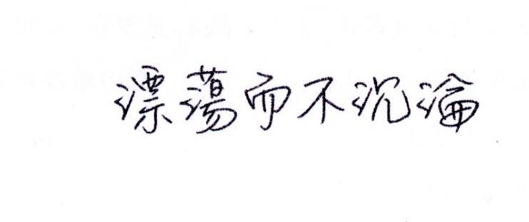 漂荡而不沉沦