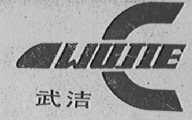武洁